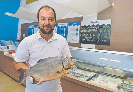  ?? (JAVIER CORTÉZ) ?? En crecimient­o. Javier Massari en el negocio de venta al público, aunque las redes están puestas en la venta mayorista de pescado.