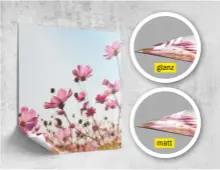  ??  ?? Bei Postern können Sie bei www.bilder.de zwischen den Varianten matt und glänzend wählen. Die Poster werden auf Premium-papier mit 250 g/m² Papierstär­ke gedruckt. Bestellbar sind Größen von 20 x 20 cm bis 300 x 100 cm.