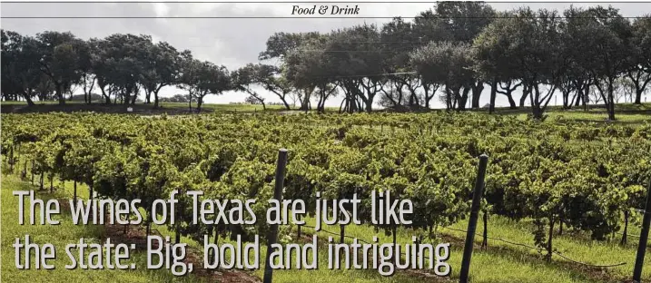  ?? Deborah Dixon / Dreamstime ?? The Texas Hill Country Vineyard near Fredericks­burg is in the heart of Texas wine country. Texas sits solidly in the top 10 list of highest-producing wine states.