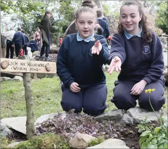  ??  ?? Ellen Gray and Emma Smith making a wish at the pond in the celtic garden at Drumshallo­n.