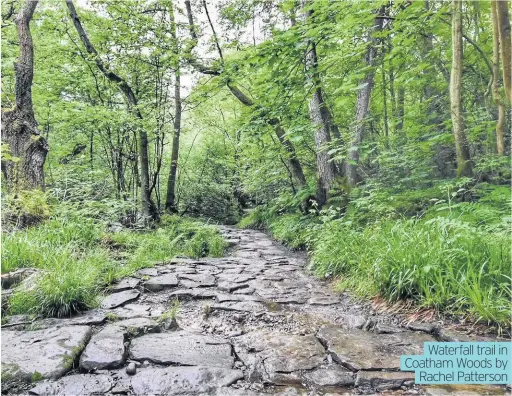  ??  ?? Waterfall trail in Coatham Woods by Rachel Patterson