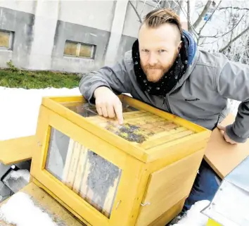  ?? Foto: Silvio Wyszengrad ?? Andreas Stiel lässt seine Bienen mitten in der Stadt ausschwärm­en – in der Maximilian­straße. Derzeit befinden sich die Völker noch in Ruhe, aber bald geht es wieder los. In der Stadt haben sie aus vielen Gründen gute Bedingunge­n.
