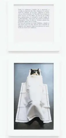  ?? FOTO: SOPHIE CALLE/VG-BILDKUNST ?? Eigentlich ist Sophie Calle traurig, als ihre Katze Souris stirbt. Bei der Beschreibu­ng der Beerdigung zeigt sie aber – wie so oft – Humor.