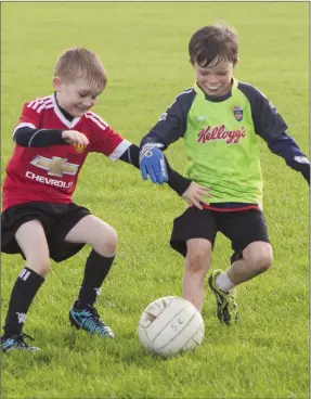  ??  ?? Patrick Gormanley and Dylan Kerins at the Bunninadde­n skills summer camp.