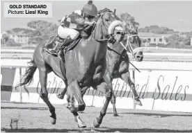  ?? Picture: ?? GOLD STANDARD (12.40) - SAMSON FOUNDATION MAIDEN PLATE (F & M) of R80000 over 1000m