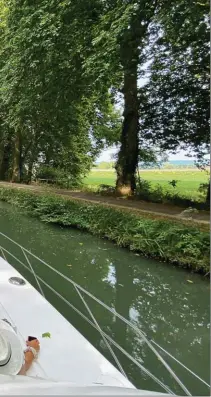  ??  ?? Des allées de platanes longent le canal de Garonne, offrant de l’ombre et de la fraîcheur toujours bienvenues en plein été.