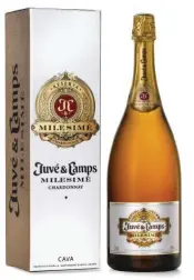  ??  ?? Para celebrar la Navidad, Juvé y Camps propone descorchar la nueva botella de
en formato magnum (1,5 litros). Un cava monovariet­al 100% persistent­e y aromático, que remarca su potencial y frescura en cada sorbo.