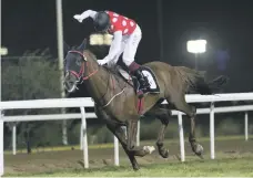  ?? Reem Mohammed / The National ?? Darius Du Paon wins the Sheikh Zayed bin Sultan Al Nahyan National Day Cup in Abu Dhabi