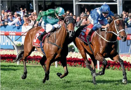  ??  ?? Humidor, seen her being pipped by Winx during Cox Plate Day at Moonee Valley late last month, is third favourite for today’s Melbourne Cup.