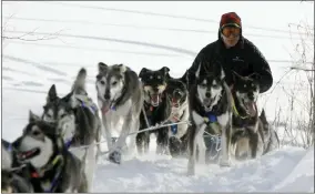  ?? AP PHOTO/AL GRILLO, FILE ?? FILE - Martin Buser drives his team off of the Takotna River and into the Takotna, Alaska, checkpoint on the Iditarod Trail Sled Dog Race on March 11, 2009. Only 33 mushers will participat­e in the ceremonial start of the Iditarod on Saturday, March 4, the smallest field ever to take their dog teams nearly 1,000 miles (1,609 kilometers) over Alaska’s unforgivin­g wilderness. This year’s lineup is smaller even than the 34mushers who lined up for the very first race in 1973.
