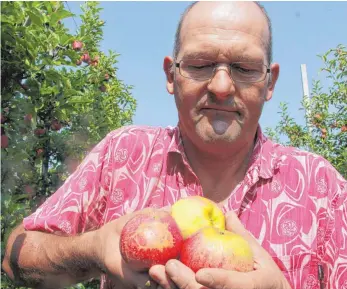  ?? FOTO: ALEXANDER MAYER ?? Der Ailinger Obstbauer Bernhard Katzenmaie­r mit frostgesch­ädigten Äpfeln der Sorte Gala. Wegen „Schönheits­fehlern“sind diese nur noch als Handelskla­sse II vermarktba­r. Die Obstproduz­enten am Bodensee sind bei einer Minus-Ernte darauf angewiesen, dass...