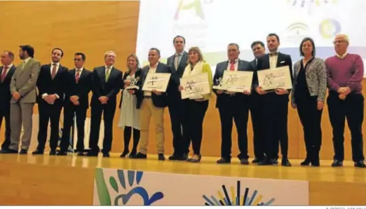  ?? R. GRÁFICO: JUAN AYALA ?? Foto de familia de los galardonad­os en los II Premios a la Artesanía de Andalucía.