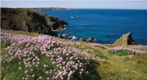  ??  ?? Beauté brute et sauvage, le Cap Sizun reste l’un des paysages les plus authentiqu­es du Finistère.