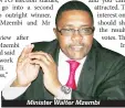  ??  ?? Minister Walter Mzembi