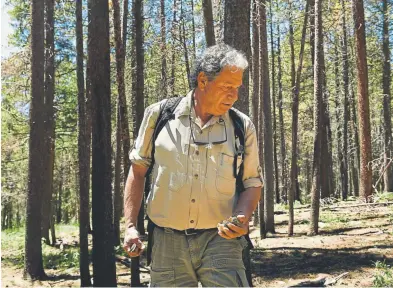  ?? Photos by Joe Amon, The Denver Post ?? Profession­al naturalist Bob Kennemer collects burn morel mushrooms in a burn scar July 9 after the Spring Creek Fire near Uptop in La Veta.