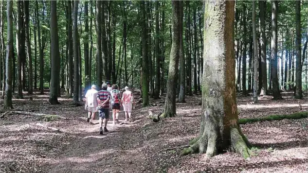  ?? Fotos: Marc Hoscheid ?? Im Wald musste man früher vor allem darauf achten, ungeschick­te Schritte und somit verräteris­che Geräusche zu vermeiden.