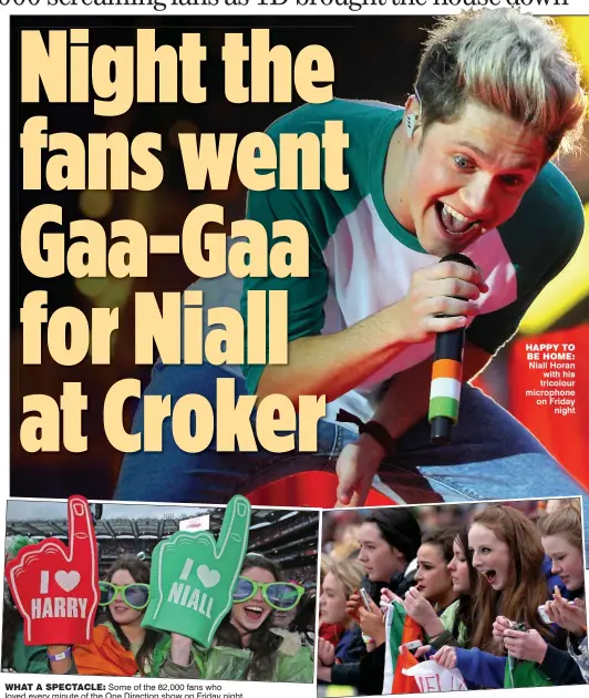  ??  ?? what a spectacle: Some of the 82,000 fans who loved every minute of the One Direction show on Friday night happy to be home: Niall Horan with his tricolour microphone on Friday
night