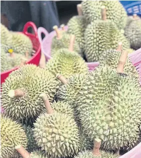  ?? ?? A basket of talay hoi durian from Krabi. A Bank of Thailand study found Thai durian prices have increased from 33 baht per kilogramme a decade ago to 111 baht at present.