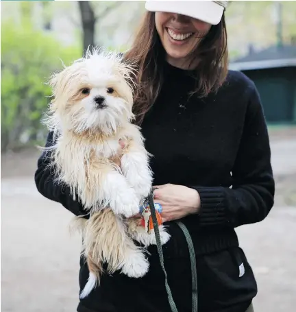  ?? PAUL LABONTÉ ?? Owner Lindsay Davis and her Shih Tzu Calvin find St. Henri makes a fine home base. “There’s a lot of happy dogs around here.”