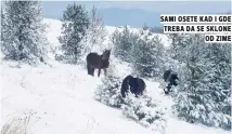  ??  ?? sami osete kad i gde treba da se sklone od zime