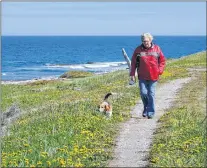  ?? STAN COLLINS PHOTO ?? Marlene, Stan’s wife, walks the old mail delivery trail with Jersey. She’s been the subject of Stan’s tweets more than once.