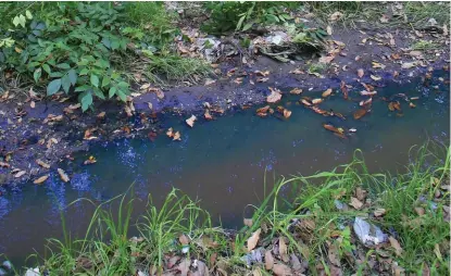  ?? ANDRÉS LOBATO ?? Continúan contaminan­do río Atoyac.