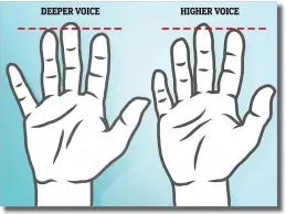  ??  ?? MAILONLINE\ LEO DELAUNCEY A bizarre link between the size of a child’s fingers and the pitch of their voice has been uncovered by scientists.