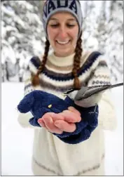  ?? JENNIFER KENT — UNIVERSITY OF NEVADA, RENO VIA THE ASSOCIATED PRESS ?? University of Nevada, Reno student Michelle Werdann feeds a wild mountain chickadee pine nuts at Chickadee Ridge in Mount Rose Meadows, Nev., on Jan. 6.