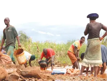  ??  ?? Illegal gold panners desperatel­y strain sewer water for remnants of the gold they used to dig