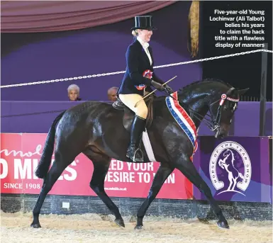  ??  ?? Five-year-old Young Lochinvar (Ali Talbot)
belies his years to claim the hack title with a flawless display of manners
