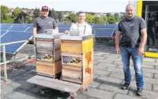  ?? FOTO: THG ?? Die Imker Matthias Krehlik und Andreas Gschwinder mit der Biologiele­hrerin Kathrin Goßgilion beim Aufstellen der Bienenstöc­ke auf dem Dach des THG.