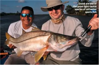  ??  ?? Snook are one of the great light-tackle species of saltwater sports fish