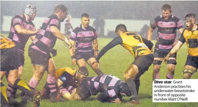  ??  ?? Dive star Grant Anderson practises his underwater breaststro­ke in front of opposite number Matt O’Neill