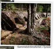  ?? PÄÄKKÖ PEKKA ?? Gammelströ­msfortet i Tyresö har 137 skottglugg­ar.FOTO: