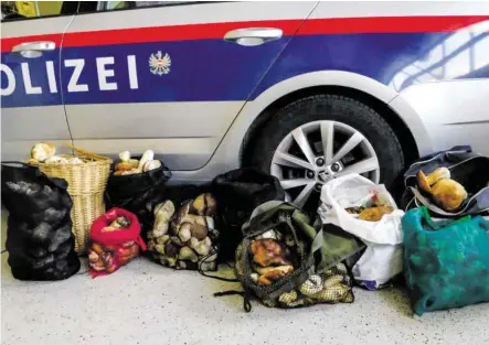  ?? BILD: SN/APA/POLIZEI TIROL ?? Drei Italiener sind im Sellrainta­l in Tirol mit 62 Kilogramm Steinpilze­n erwischt worden.