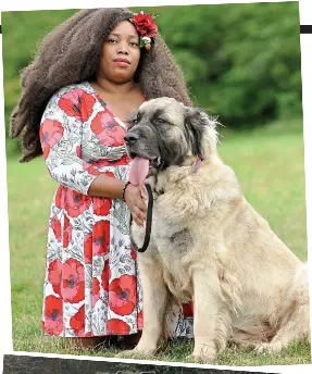 Leonberger next best sale to human