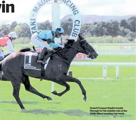  ?? ?? Grand Prospect finally breaks through for his maiden win at the Otaki-Ma¯ ori meeting last week.