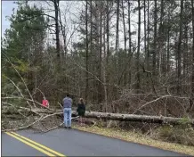  ?? From the Whiteheads ?? One tree fell in the Stonebridg­e community in Armuchee prior to the arrival of the strongest part of the storm.