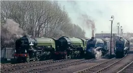  ?? ?? Pacific line-up at Barrow Hill’s LNER II gala on April 3, 2009. Left to right are A1 No. 60163 Tornado, A2 No. 60532 Blue Peter and A4s Nos. 60007 Sir Nigel Gresley and 6009 Union of South Africa. JOHN TITLOW