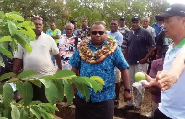  ?? Photo: Karalaini Tavi. ?? Minister for Agricultur­e, Rural and Maritime Developmen­t and NDMO Inia Seruiratu with team leader of the Taiwan Technical Mission Yeong-Lang Yang the new ‘Green Pearl’ Guava at the Sigatoka Research Station on September 25, 2017.