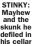  ?? ?? STINKY: Mayhew and the skunk he defiled in his cellar