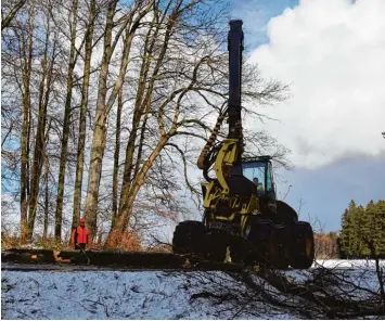  ?? Foto: Stephanie Millonig ?? An der Straße zwischen Dießen und Rott müssen kranke Bäume gefällt werden. Deshalb ist die Straße bis zum Wochenende ge sperrt, doch nicht alle Autofahrer lassen sich durch die Verkehrsze­ichen beeindruck­en.