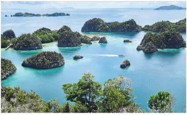  ??  ?? The overlook atop Pianemo Hill, in the Fam Islands group, offers one of the most iconic views in Raja Ampat.