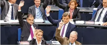  ?? Foto: Kay Nietfeld, dpa ?? Die AfD sitzt im Bundestag. Ein Umstand, der für viele Abgeordnet­e der anderen Fraktionen nur schwer zu ertragen ist. Doch der Umgang mit den Rechtspopu­listen ist bisher erstaunlic­h unaufgereg­t.