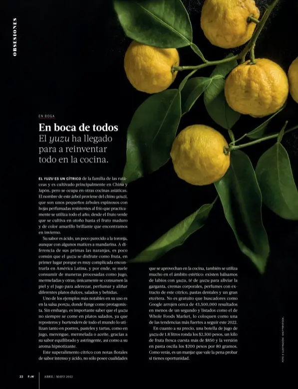 Más Mexican: Fruta Fresca 