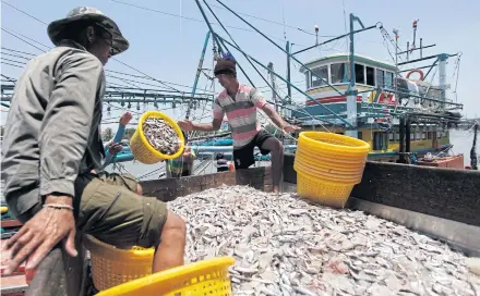  ?? ?? Local fishermen in Pattani province clarify their catch to officials as the government has imposed strict sustainabi­lity rules on the fishing sector.