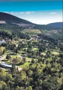  ?? Photograph: Forestry and Land Scotland ?? Glenmore campsite in Aviemore.