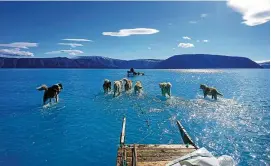  ?? FOTO: STEFFEN M. OLSEN/DMI ?? Mitten im Inglefield-fjord auf Grönland waten Schlittenh­unde durch eine riesige Schmelzwas­serpfütze.