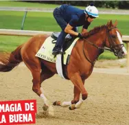  ??  ?? MAGIA DE
LA BUENA
Este es Good Magic, el caballo que montará el trujillano José L. Ortiz, entrenando en la pista previo a Kentucky Derby de mañana. El ejemplar saldrá del puesto seis.