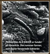  ?? ?? Meteoritte­n ALH 84001 er fundet på Antarktis. Den rummer former, som ligner forstenede bakterier.